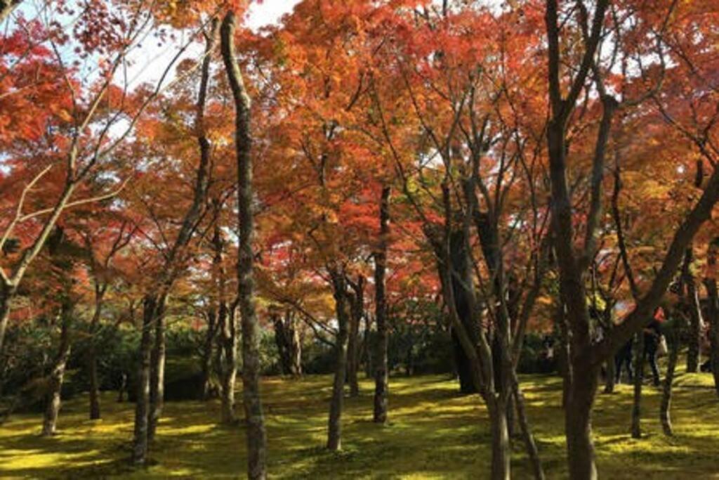 Ek House Hakone Shushinso 箱根修身荘ヴィラ エクステリア 写真